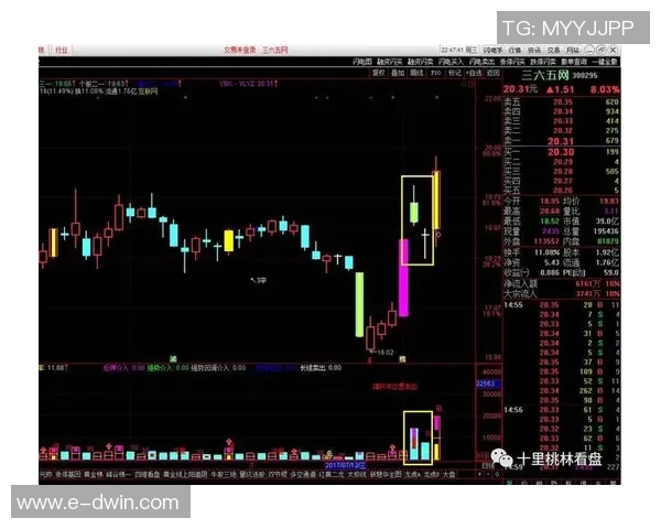 重庆足球队与杭州足球队赛后战术分析与复盘探讨